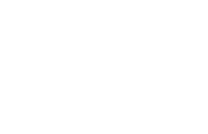 Struxvera Engineering